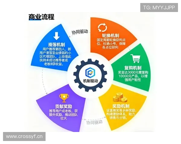 巴洛特利战术适配性分析：当前阶段表现与体系融合走势清晰